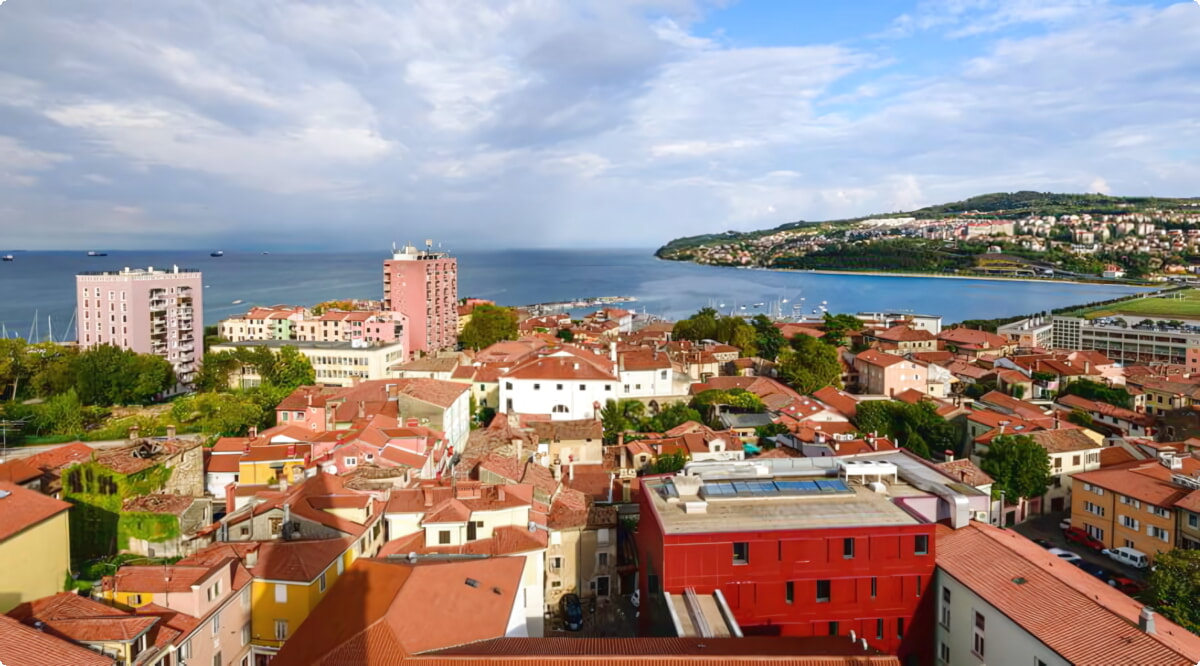 ¿Cuáles son las opciones de vehículos más populares en Koper?